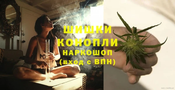 крисы Михайловск