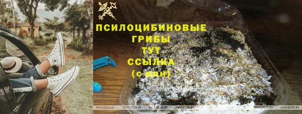 метадон Медвежьегорск