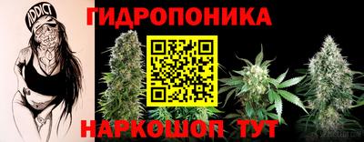 гашик Заводоуковск