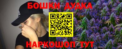 крисы Апшеронск