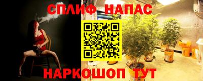 спиды Аргун