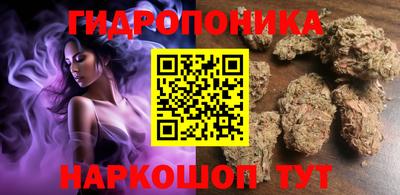гашик Заводоуковск