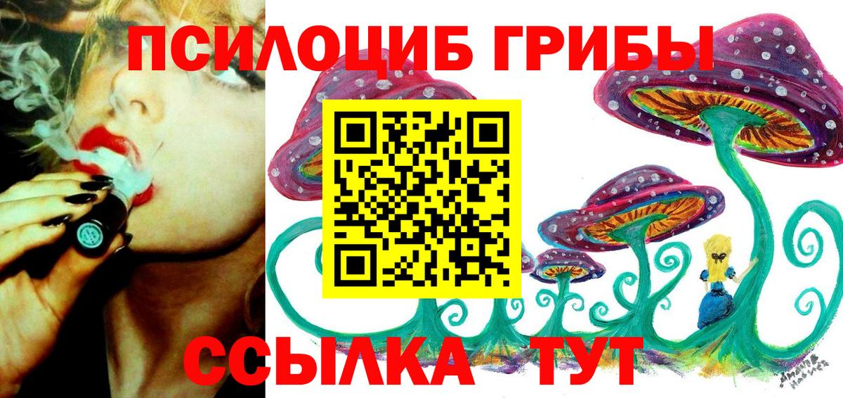 Псилоцибиновые грибы GOLDEN TEACHER Кореновск