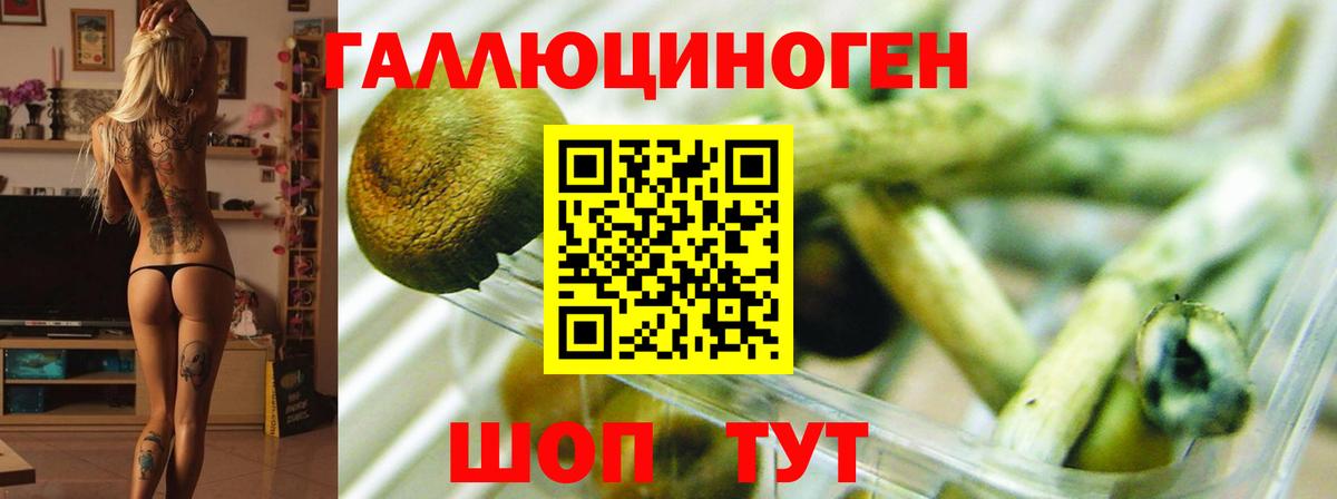 Галлюциногенные грибы Magic Shrooms  Вход с VPN  Кореновск 